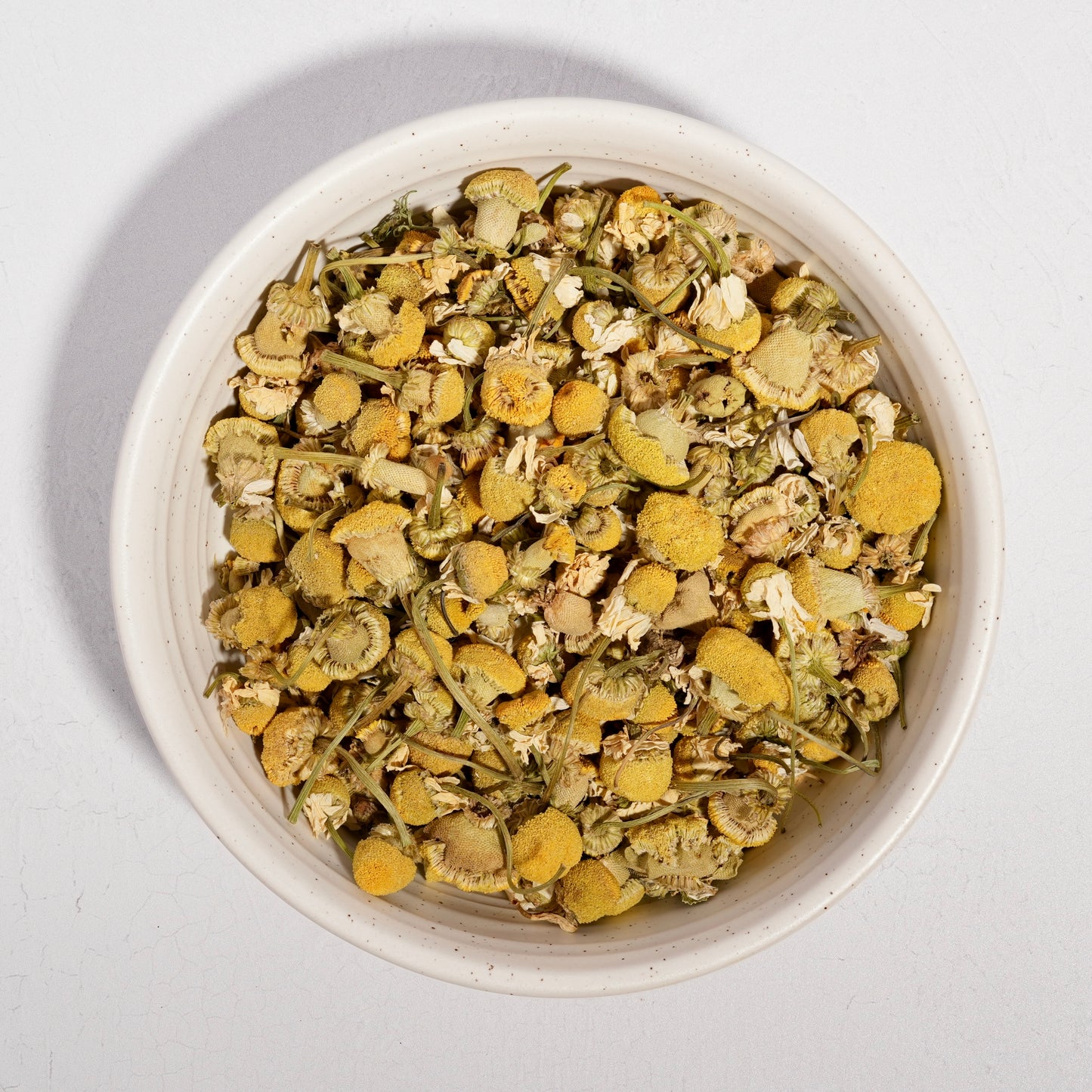 Egyptian Chamomile
